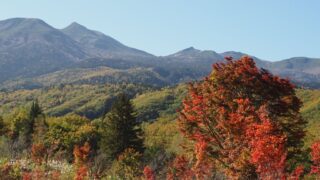 スタッフブログ | 乗鞍自然保護センター